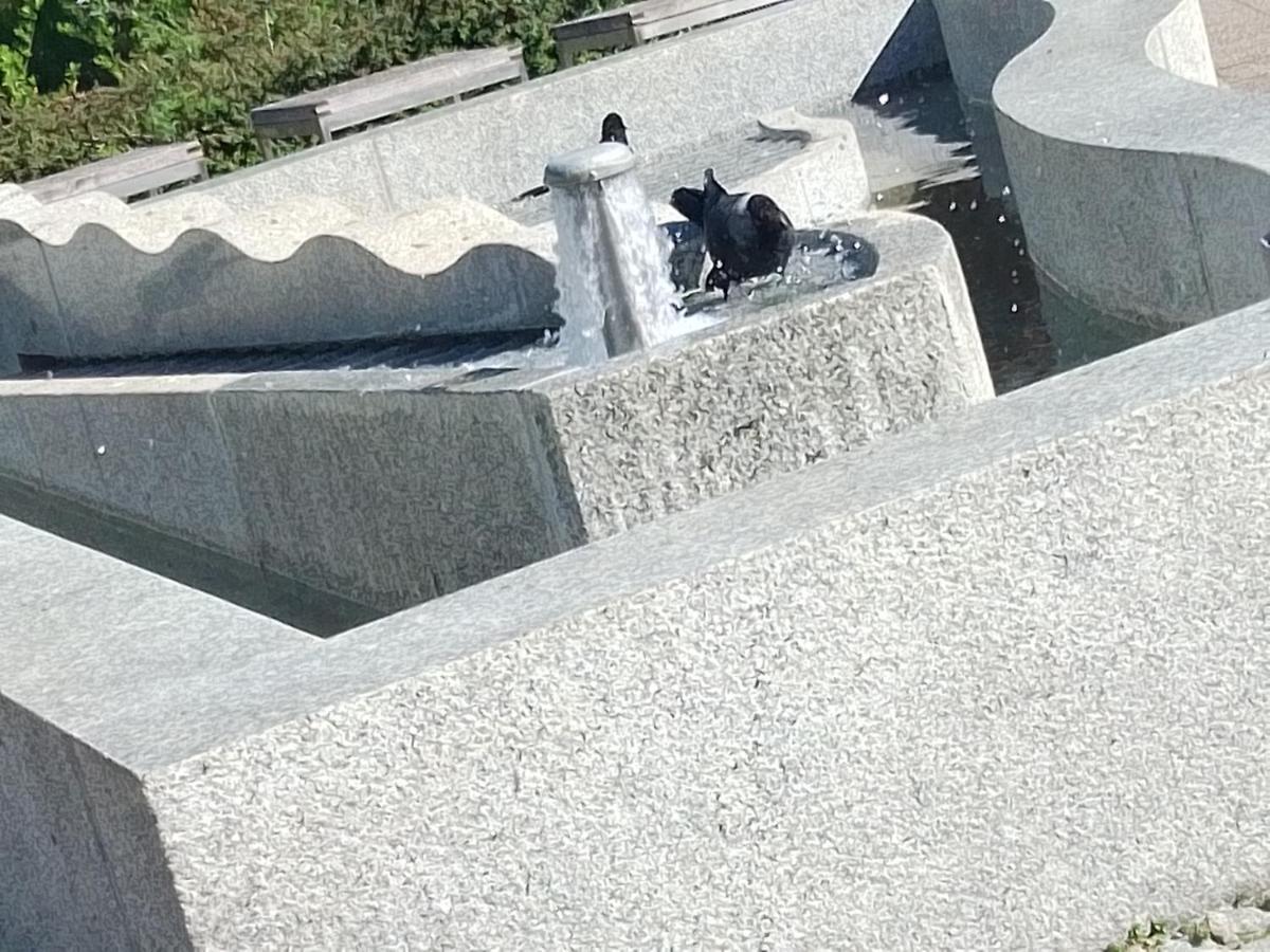 Dreapart Pruszcz Gdański Exterior foto